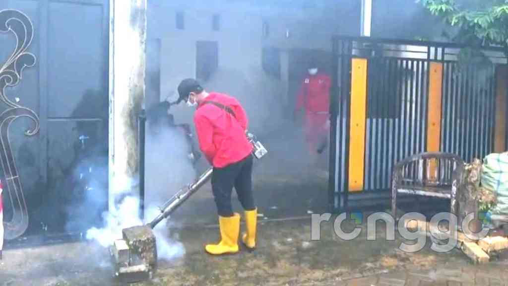 113 Anak di Kabupaten Tuban Terserang Demam Berdarah, 3 Diantaranya Meninggal&nbsp;Dunia
