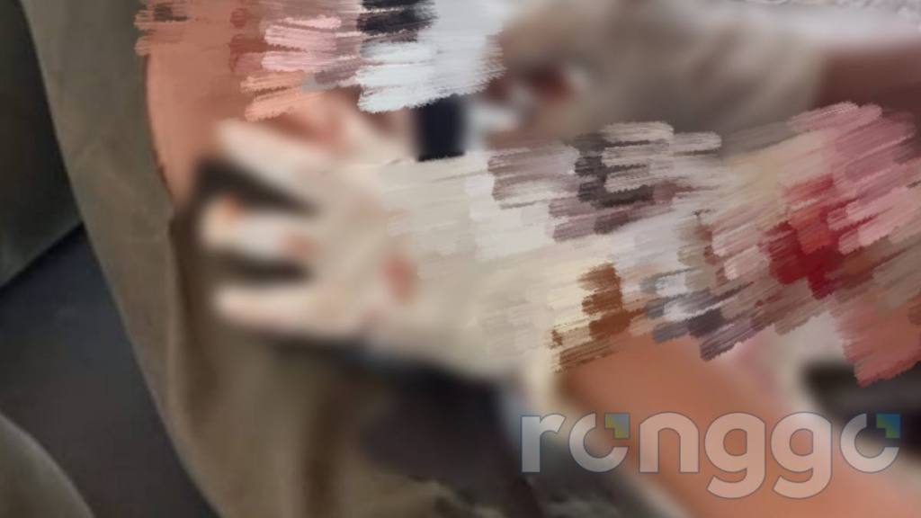 Pegawai Perhutani Dibacok di Kawasan Hutan Singgahan&nbsp;Tuban